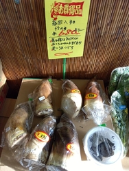平日の訪問でし...
