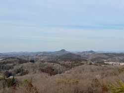 お散歩したいな...