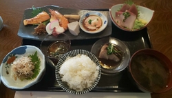 今年初めての掲...