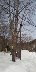 白根山のふもと...
