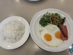 久しぶりにモー...