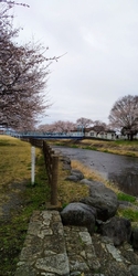 青空ロマン吊橋...