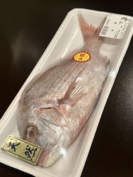 宇都宮パセオ店...