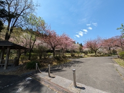 ICを降りて町...