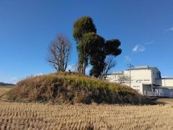 古墳のテッペン...