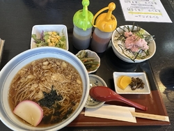 久しぶりすぎて...
