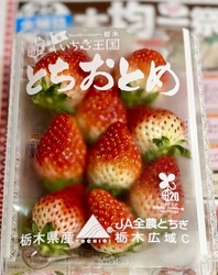 かましん...
