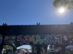 久しぶりに道の...