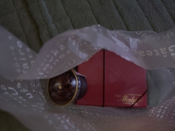 主人のバレンタ...