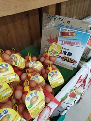 今日は、佐野市...