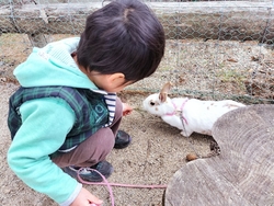 息子が大好きな...
