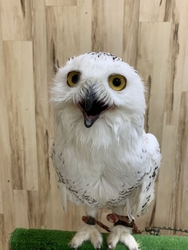 ずっと気になっ...