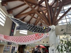 旅行に行かない...