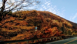 大網園地から徒...