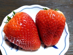 久しぶりにおじ...