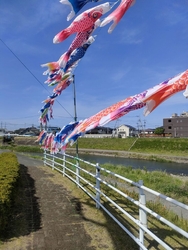 田川沿いの道を...
