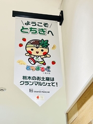 JR宇都宮駅直...