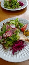 遠くから遊びに...