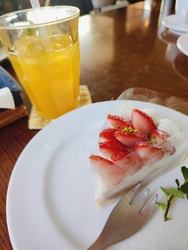 久しぶりにお茶...