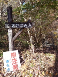 透明できれいな...