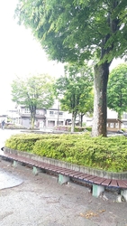 公園の直ぐ横に...