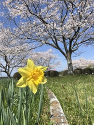 よく晴れた土曜...