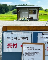 夏が旬の生きく...