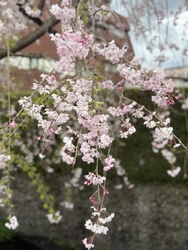 西塙橋と勝橋の...