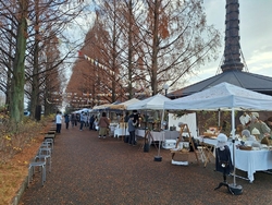 先日きれいに色...