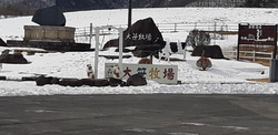 家族皆で行って...