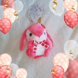 久しぶりにいき...