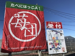 益子観光いちご...