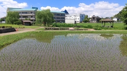 青空と田んぼ。...