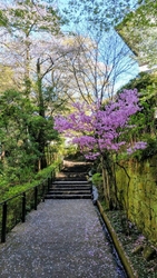 自分の中で相性...