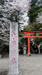 ここに在ったの...