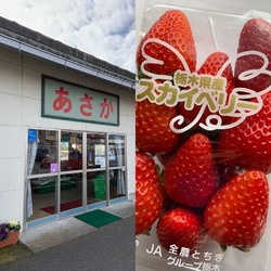 地元産の新鮮な...