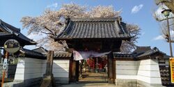 街道沿いから大...
