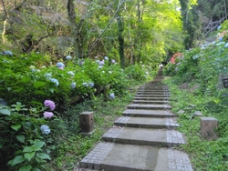 雨の予報だった...