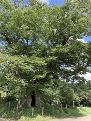 茂木町九石地区...