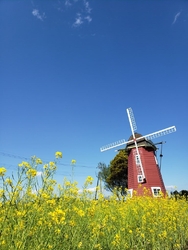 オランダ村に立...