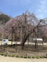 イベントがやっ...