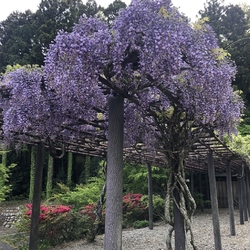 今年2回目の金...