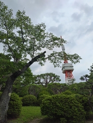 すごーく広くて...