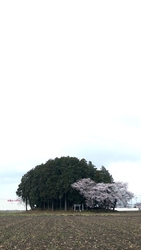 遠くからでも、...