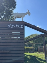 たぶん初めてい...