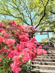錦着山護国神社...