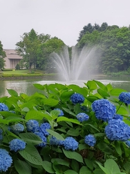 県立博物館に行...