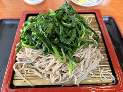 新年最初の朝そ...