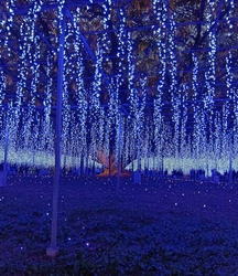 すごく素敵なイ...