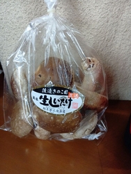 那須カントリー...